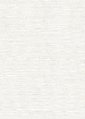 Tilley White (TLY12)
