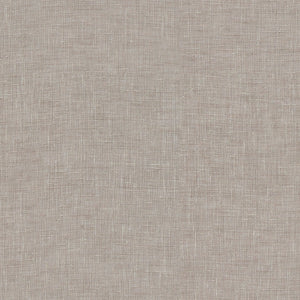 Ancona Tan (ISST-012)