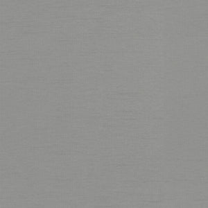 Ashley Silver (ISST-038)
