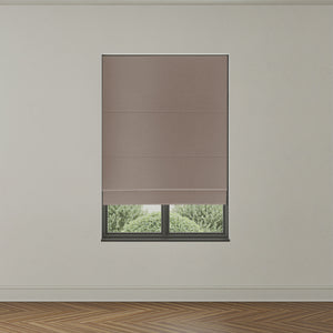 Bodi Biscuit (ISST-051)
