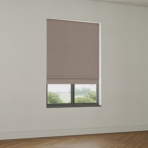 Bodi Biscuit (ISST-051)