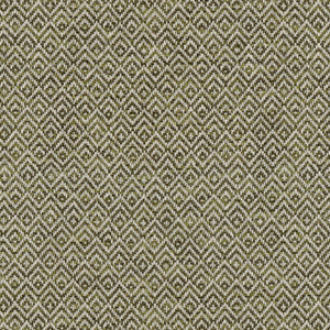 Carmona Olive (ISST-063)