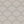 Floralis Golden Gray (ISST-111)