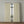 Palm Aire Pear (ISST-213)
