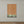 Zylah Apricot (ISST-310)
