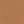 Zylah Apricot (ISST-310)