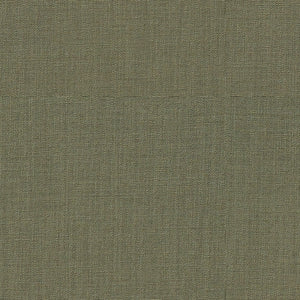 Zylah Artichoke (ISST-311)