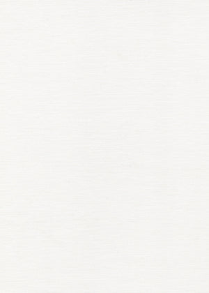 Voile Cloud (Sheer) (V31)