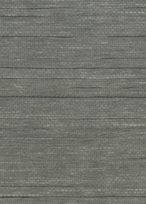 Vaughn Storm (LF) (NR-017)