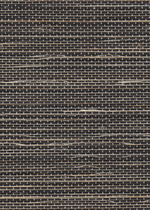 Venice Obsidian (IN-0288)