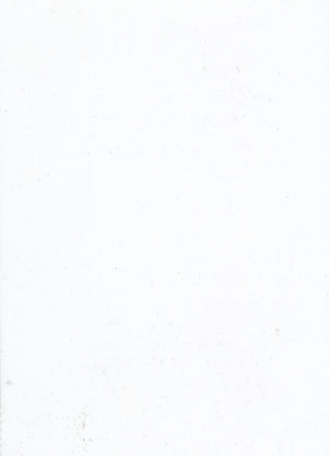 Light-Filtering White (Liner) (NRLF-01)