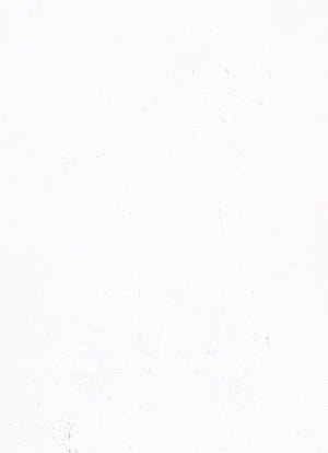 Room-Darkening White (Liner) (NRRD-01)
