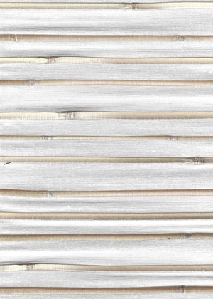 Willow Chalk (UM-183)