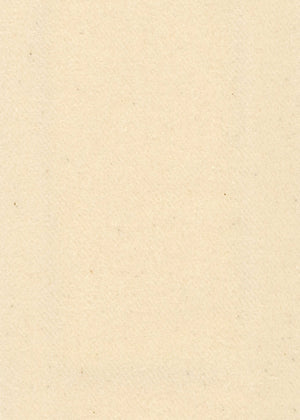 Interlining Ivory (INTILU-02)